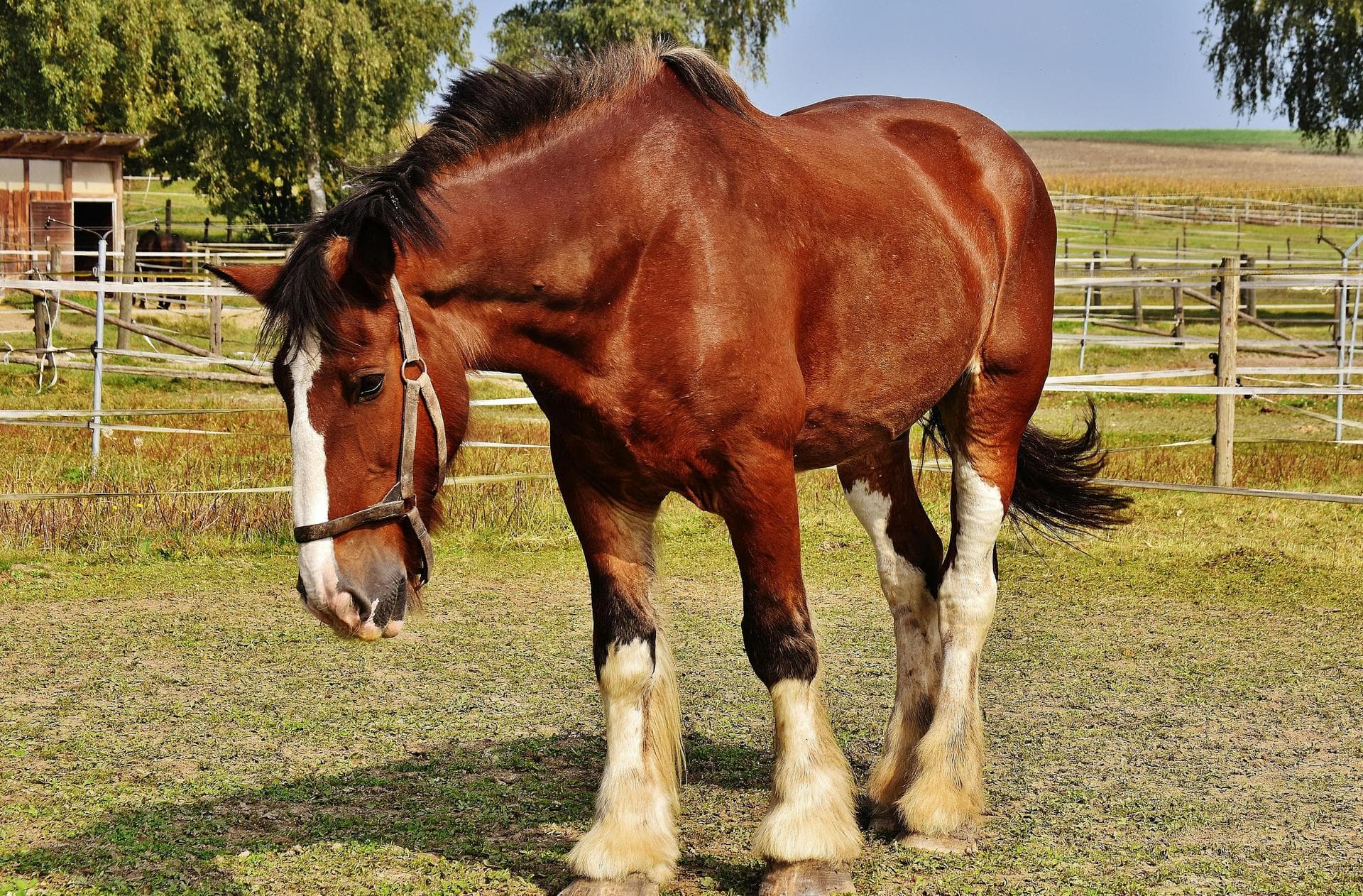Specialist Vets in Dubuque